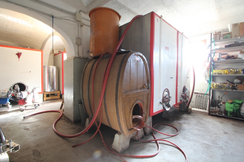 Weingut in Montepulciano