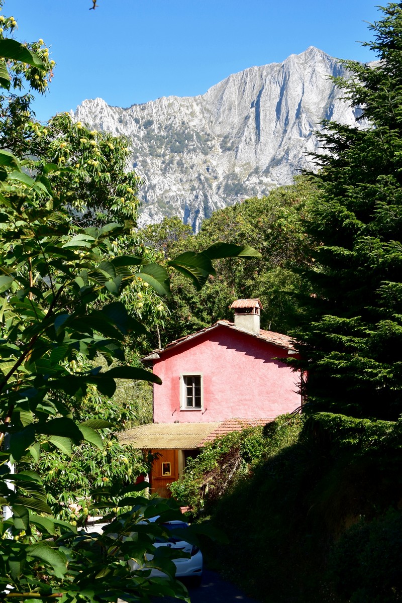 House in the Woods of Seravezza