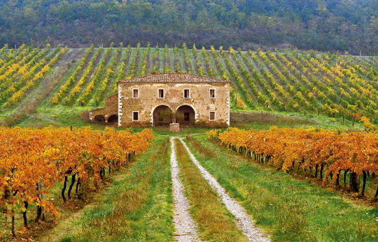 Why Live in Tuscany?