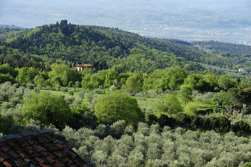 Da vedere in Toscana