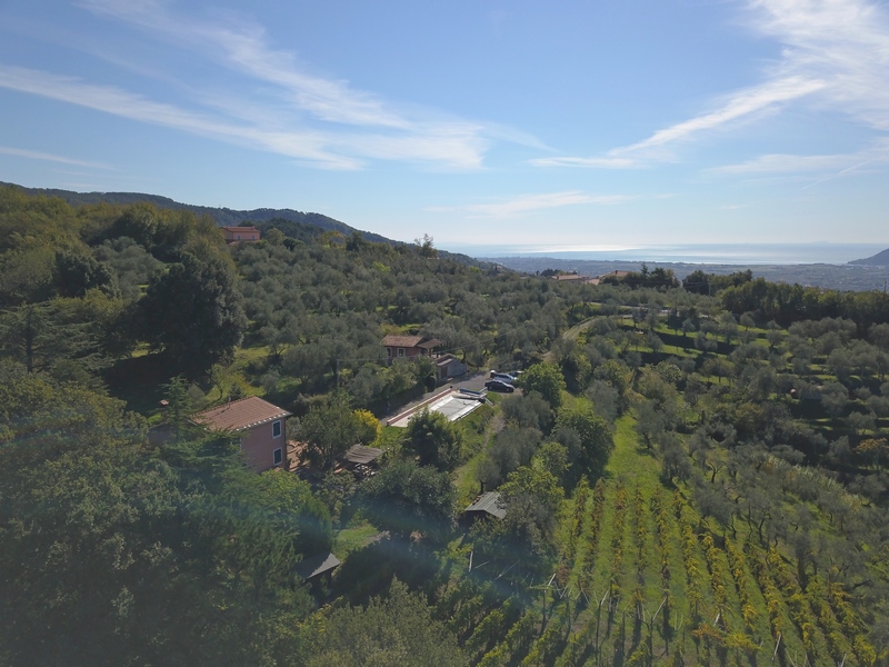 Stará vila s mořským panoráma a produkcí vína a olivového oleje
