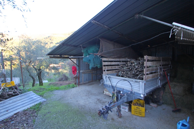 Na renovaci -farma nebo velký privátní dům s olivami