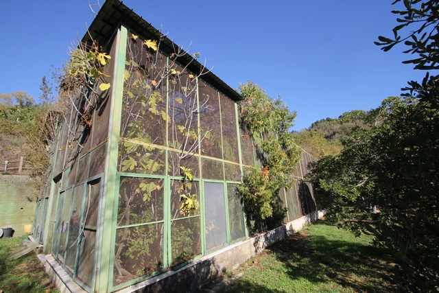 Renovierungsbedürftiges Haus in den Sarzana-Hügeln